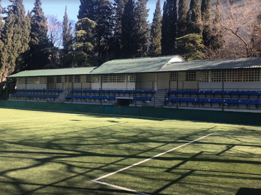 იმედი არენა (Imedi Arena)